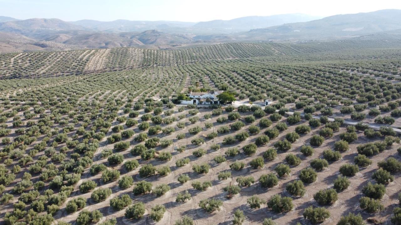 Casa De Familia Cortijo La Cubertilla Fuente-Tojar المظهر الخارجي الصورة